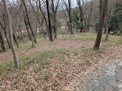 PXL_20260306_023628163
