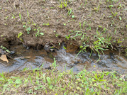 PXL_20260604_040923562