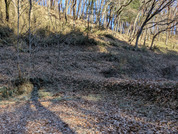 PXL_20260109_002245420