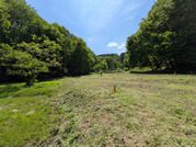 PXL_20260426_035800009