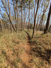 PXL_20260301_055732071