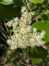 PXL_20260422_010029217