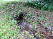 DSC01137