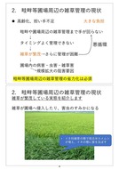 澁谷知子「畦畔等圃場周辺の省力的雑草管理に向けた課題と展望」_03
