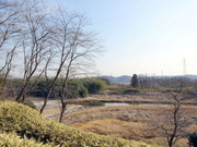 DSC00293