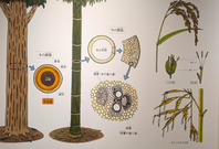 PXL_20260610_034140611