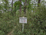PXL_20260523_042515904