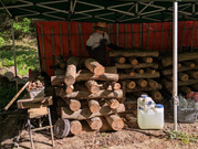 PXL_20260421_061431108