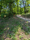PXL_20260510_022835005