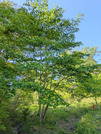PXL_20260421_053324504
