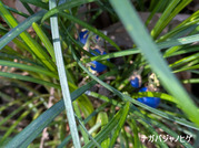 PXL_20260118_023307463