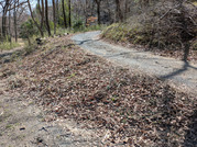 PXL_20260314_030040229