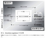 ●きのことキノコバエと線虫の三者関係_4-001