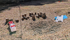 PXL_20251207_024323825