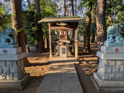 PXL_20260110_063128271