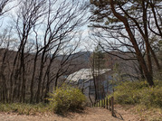 PXL_20260323_052638918