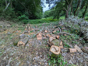 PXL_20260621_084851525