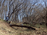 P2090042
