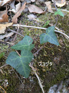 PXL_20260301_042739897