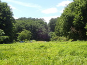P6050029