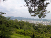 PXL_20260704_063614869