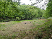 P4150016