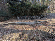 PXL_20260206_020346594