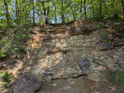 PXL_20260502_011639729