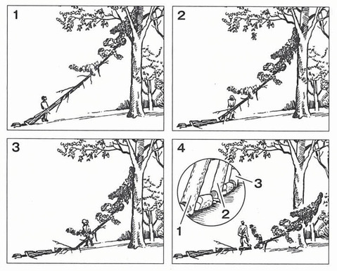 伐木造材術151頁A