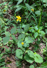 PXL_20260806_034754325