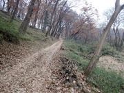 PC080034