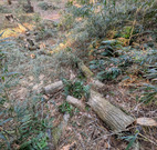 PXL_20260118_044725998