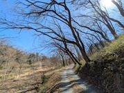 PXL_20260219_031605540