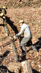 スクリーンショット (17680).png