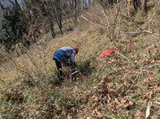 PXL_20260125_013102914