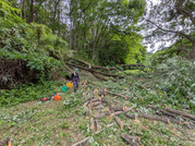 PXL_20260616_065201996