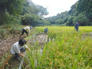 DSCN9743