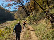 PXL_20251121_024602285