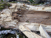 PXL_20260116_015919274