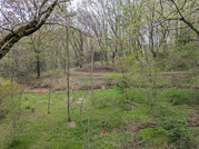 PXL_20260406_235744850
