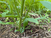 PXL_20260612_030112300
