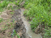 PXL_20260421_000341688