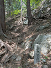 PXL_20260531_030111096