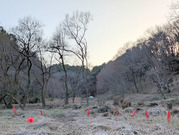 PXL_20260305_082407870