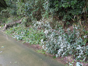 PXL_20260910_015455633