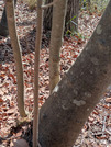 PXL_20260301_053751640