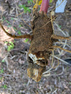 PXL_20260528_235437555