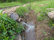 PXL_20260502_082845410