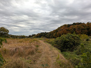 PXL_20251118_001157044