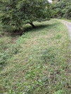 PXL_20261001_235228024
